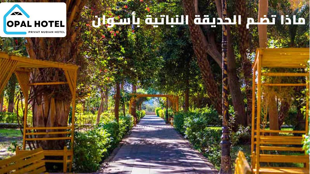 جزيرة النباتات أسوان | أفضل جولة سياحية وأهم 8 أنشطة