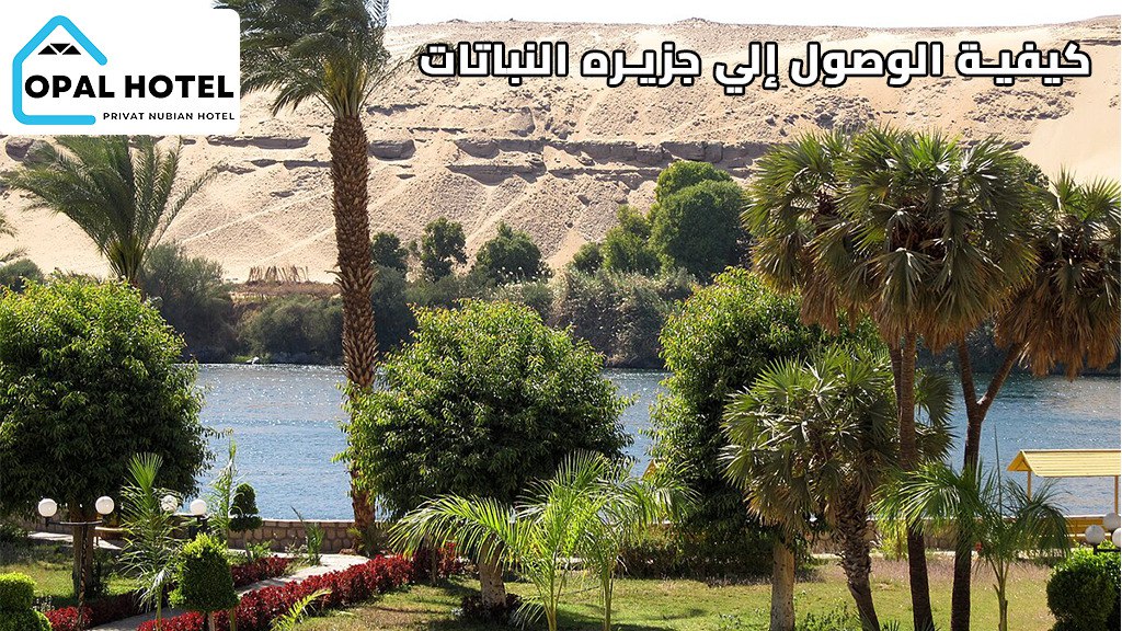 جزيرة النباتات أسوان | أفضل جولة سياحية وأهم 8 أنشطة