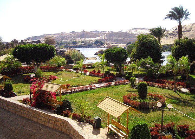 أسبوع في أسوان