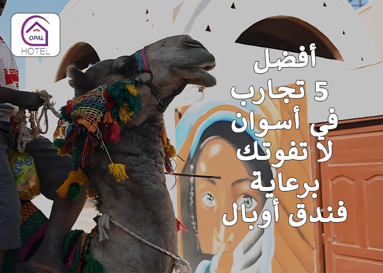 أفضل 5 تجارب في أسوان لا تفوتك برعاية فندق أوبال